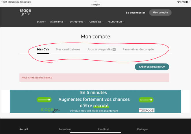 Capture d'écran du site internet sstage.fr